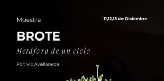 Inaugura la muestra «Brote: Metáfora de un ciclo” en la Casa de la Cultura