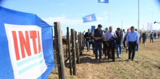INTA: 67 años de liderazgo en el desarrollo tecnológico del agro