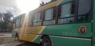 Se rompio un colectivo de la 25 de Agosto y termino en un cantero