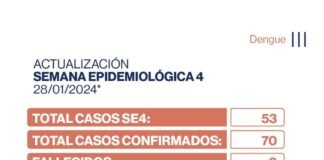 Dengue en Catamarca: Se registraron 53 nuevos casos de Dengue en la ultima semana