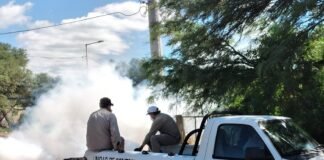 Salud refuerza controles ante la aparición de un caso de Dengue en Huillapima