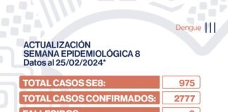 Dengue: se registraron 975 nuevos casos en la provincia