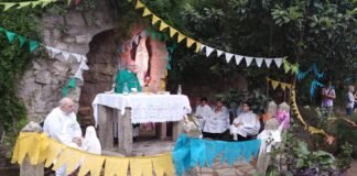 El Obispo dio gracias a Dios por la canonización de Mama Antula en la celebración de la Virgen de Lourdes