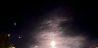 El sector vitivinícola promociona sus vinos con una iniciativa astronómica