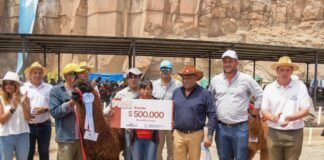 Finalizó la 33° edición de la Feria Productiva en la Puna