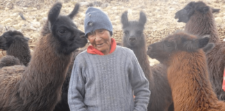 LORENZA «LA ÚLTIMA DIAGUITA» SE ENCUENTRA INTERNADA EN UN SANATORIO DE LA CAPITAL