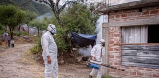 Realizan fumigaciones para mitigar la propagación del Dengue en Fray