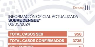 958 nuevos casos de Dengue en la Provincia en la ultima semana
