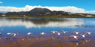 Antofagasta de la Sierra con ocupación hotelera al 100% para el fin de semana XXL