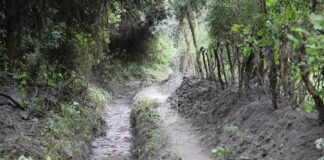 Pomán: 𝗨́𝗹𝘁𝗶𝗺𝗮𝘀 𝗻𝗼𝘃𝗲𝗱𝗮𝗱𝗲𝘀 𝗱𝗲𝗹 𝗖𝗼𝗺𝗶𝘁𝗲́ 𝗱𝗲 𝗘𝗺𝗲𝗿𝗴𝗲𝗻𝗰𝗶𝗮