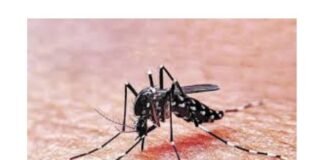 Se investiga el fallecimiento de una persona como caso sospechoso de Dengue