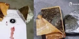 Secuestraron droga en un depósito de encomiendas en la Capital