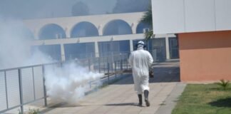 Dengue: la clave de esta etapa es la prevención hogareña