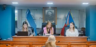 Diputados extendió el periodo de extraordinarias para tratar el proyecto de Ley de Emergencia Económica