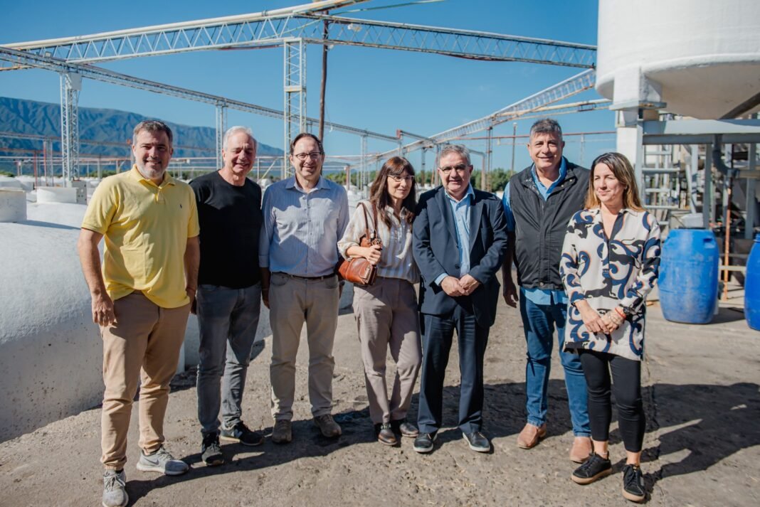 Empresa catamarqueña con exportación de aceitunas hacia Canadá