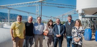 Empresa catamarqueña con exportación de aceitunas hacia Canadá