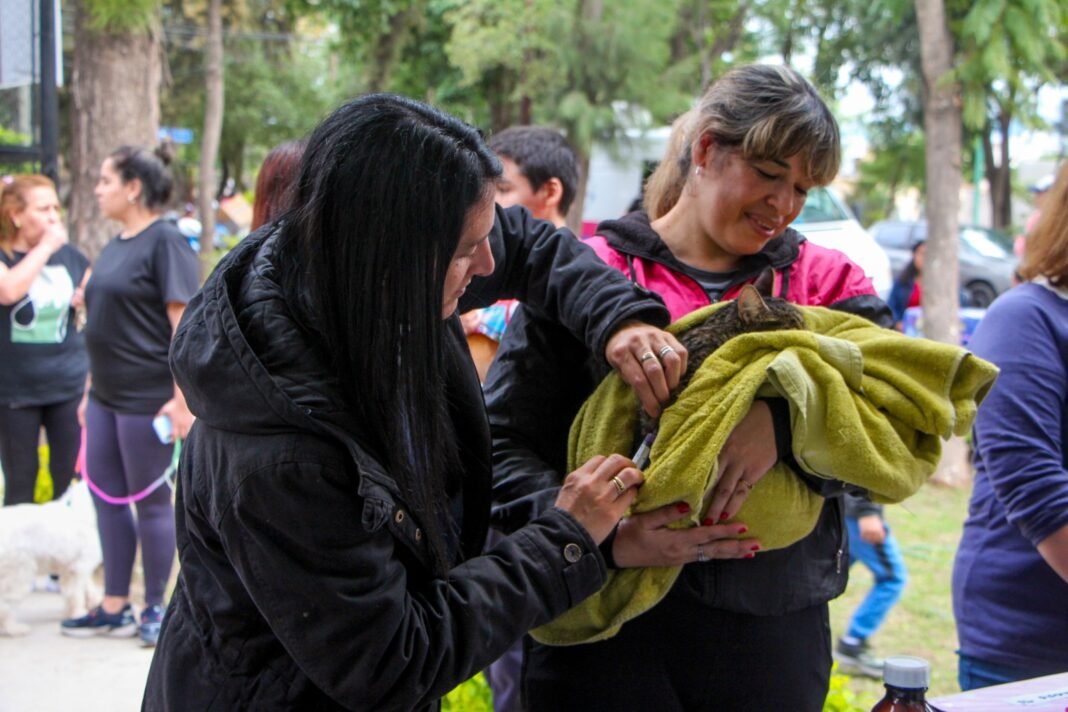 En el día del animal Salud brinda recomendaciones para el cuidado de las mascotas
