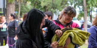 En el día del animal Salud brinda recomendaciones para el cuidado de las mascotas