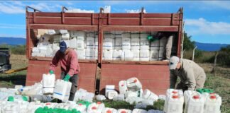 Los Altos, un municipio comprometido con el Medio Ambiente