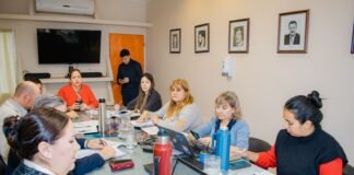 Luz verde a medias para la ley de emergencia económica en Diputados, opositores desmienten consenso