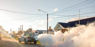 Mañana viernes, se realizarán operativos de fumigación en barrios del Norte