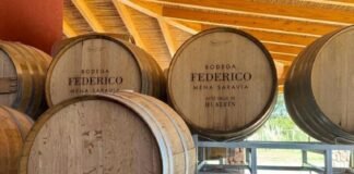 Raúl Jalil visitó la Bodega Federico Mena Saravia, un emprendimiento vitivinícola de varias generaciones