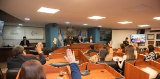 Senado: Media sanción a la Ley de Medición, Compensación y Reducción de la Huella De Carbono