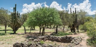 Convocatoria para proyecto arquitectónico de sitios arqueológicos