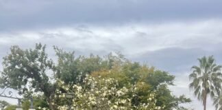 Día Mundial de Toma de Conciencia del Abuso y Maltrato en la Vejez