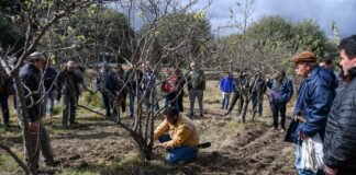 Jornada de actualización técnica sobre el cultivo del membrillero en Andalgalá
