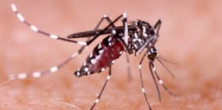 Se registraron 3 nuevos casos de Dengue en Catamarca