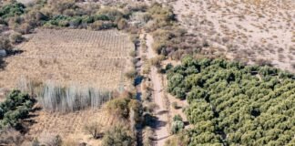 Reactivación del Canal Matriz: Impulso Vital para la Producción en Tinogasta