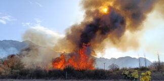 Alerta por incendios en Catamarca: Tres fincas de Bosque Nativo resultaron afectadas ayer
