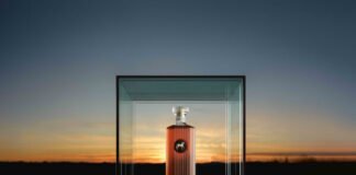 Beyoncé lanza “SirDavis”, su propia marca de whisky