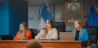 Ciudadanos piden participar del debate legislativo sobre el RIGI