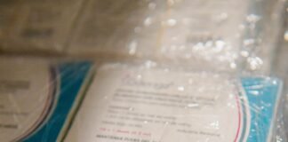 Cómo funcionará la vacunación contra el dengue