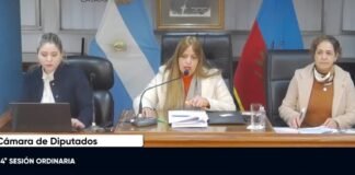 Diputados: “Debería darnos vergüenza estar legislando la entrega de leña a escuelas, comedores»