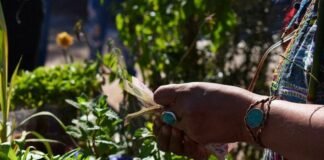 𝟮𝟮° 𝗙𝗘𝗥𝗜𝗔 𝗣𝗥𝗢𝗩𝗜𝗡𝗖𝗜𝗔𝗟 𝗗𝗘 𝗦𝗘𝗠𝗜𝗟𝗟𝗔𝗦 𝗡𝗔𝗧𝗜𝗩𝗔𝗦 𝗬 𝗖𝗥𝗜𝗢𝗟𝗟𝗔𝗦