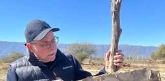 Flavio Fama a Susana Zenteno: “es el claro ejemplo la ineficacia, ineptitud e irresponsabilidad kirchnerista”