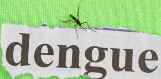 Inician las inscripciones para acceder a la vacuna contra el dengue
