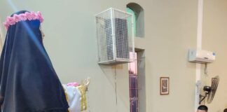 LA IMAGEN DE SANTA ROSA VISITA LOS ALTOS