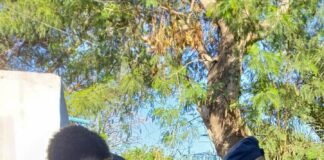 Aplican operativos “Tribuna Segura” en eventos deportivos