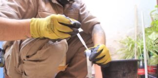 Campaña de prevención del Dengue en Plaza Hipólito Yrigoyen