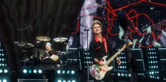 Green Day frenó un show por un dron no autorizado