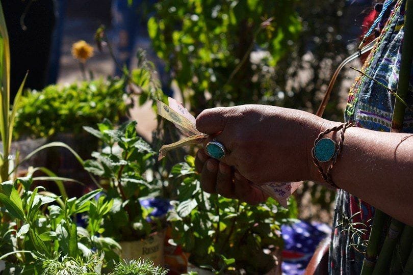 Llega una nueva edición de la Feria Provincial de Semillas Nativas y Criollas