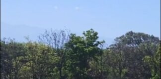 Muerte en la Liga de Veteranos: Otro caso mas ocurrio el fin de semana