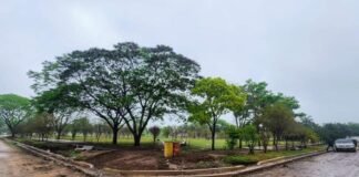 Inician las obras de remodelación en la Plaza Cerezo de Alijilán