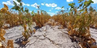 La Niña: Conocé el fenómeno nacido de la crisis climática y cómo afectará a Catamarca