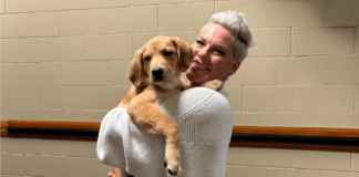 P!nk suma a su gira a un perro rescatado