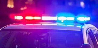 Aprehenden a dos hermanos por robarle a su propia madre